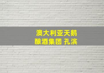 澳大利亚天鹅酿酒集团 孔滨